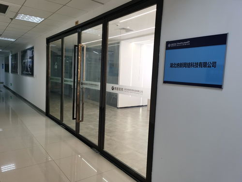 湖北纳新网络科技 通信设备技术开发领域的创新引擎